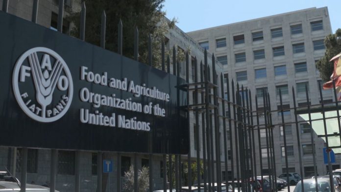 Food-And-Agriculture-Organization-FAO-Internship-Program-696x392.jpg